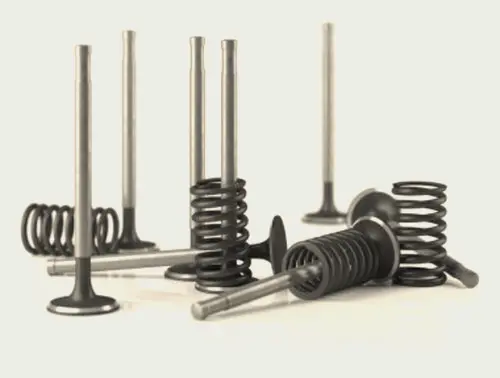 Valve Springs